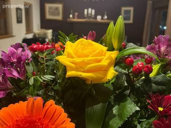 Athgarvan Heights, Athgarvan, Co. Kildare - Image 3