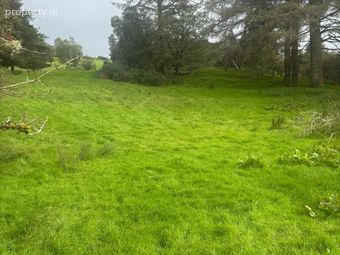 Ardnableask, Donegal Town, Co. Donegal - Image 4