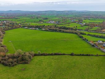 22.30 Acres At Castle Matrix, Rathkeale, Co. Limerick, Rathkeale, Co. Limerick - Image 3