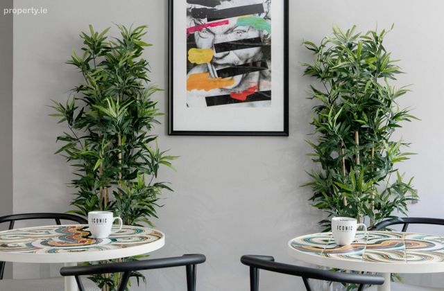 Earlsfort Terrace, Dublin 2 - Click to view photos