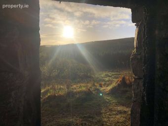 Derelict Cottage At Cloghvoolia, Killavullen, Mallow, Co. Cork - Image 4