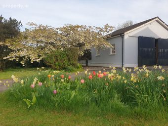 Even Tide House, Ballinamuddagh, The Ballagh, Enniscorthy, Co. Wexford, Kilcotty, Co. Wexford - Image 5