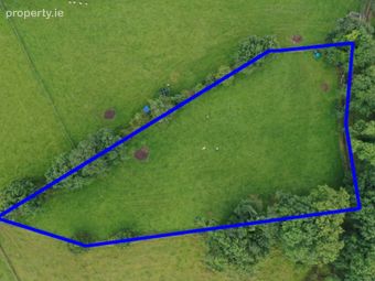 C. 1.25 Aces At, Lisnagavragh, Four Roads, Co. Roscommon, Four Roads, Co. Roscommon - Image 2