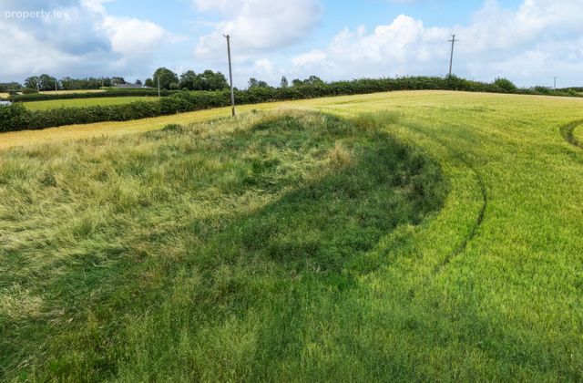 Frevenagh, Durrow, Tullamore, Co. Offaly - Click to view photos