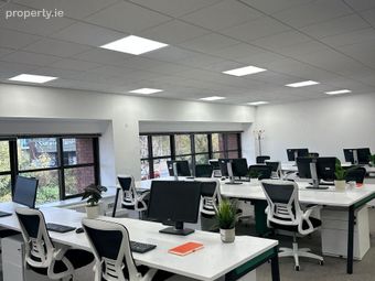 Burton Hall Road, Sandyford, Dublin 18 - Image 2