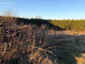 Fiddaun, Craughwell, Co. Galway - Image 2