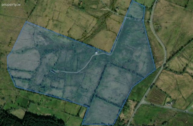 Cottage &amp; 44.52 Acres, Gubaveeney, Blacklion, Co. Cavan - Click to view photos