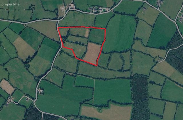 Seskin Upper, Old Leighlin, Co. Carlow, Ridge, Co. Carlow - Click to view photos