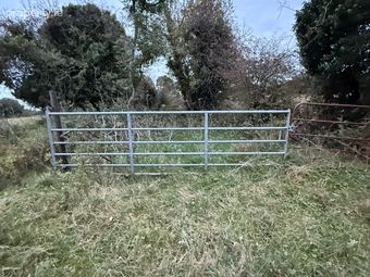 Philipstown Upper, Cushina, Co. Offaly - Image 4