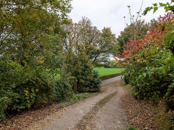 Raheennahone, Ballyhogue, Co. Wexford - Image 3