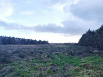 Carnacalla, Kilrush, Co. Clare - Image 2