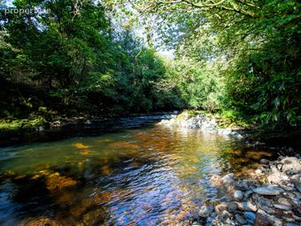 Moore's Meadow, Mill Road, Ballinacarrig Lower (l2144), Rathdrum, Co. Wicklow, Ballinaclash, Co. Wicklow - Image 5