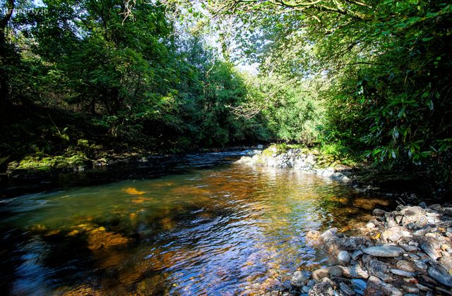 Moore's Meadow, Mill Road, Ballinacarrig Lower (l2144), Rathdrum, Co. Wicklow, Ballinaclash, Co. Wicklow - Click to view photos