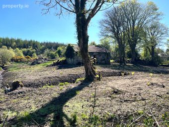 Mullagh, Dromahaire, Co. Leitrim, Dromahair, Co. Leitrim - Image 5