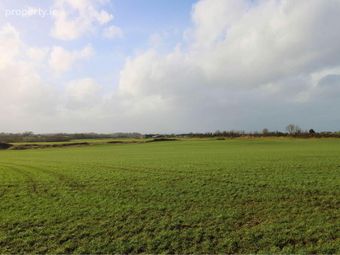 53.62 Acres Coolderry, Ardcroney, Nenagh, Co. Tipperary, Nenagh, Co. Tipperary