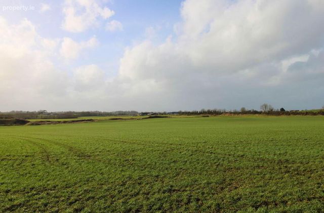 53.62 Acres Coolderry, Ardcroney, Nenagh, Co. Tipperary, Nenagh, Co. Tipperary - Click to view photos