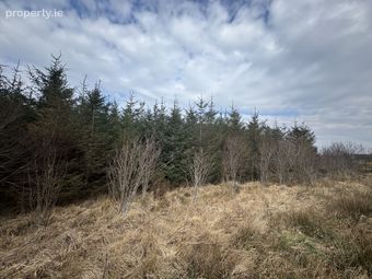 Ref 1169 - Forestry Lands, Garrane, Portmagee, Co. Kerry - Image 2