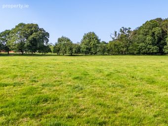Lot 2 - North Land At Lisnavagh, Lisnavagh, Co Carlow, R93 K162, Rathvilly, Co. Carlow - Image 5