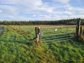 Fuel, Drumbaun, Curry, Co. Sligo - Image 4