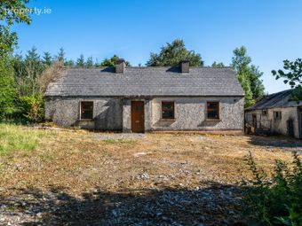 Derrylow, Boyle, Co. Roscommon, Rn3682f (for Id), Croghan, Co. Roscommon - Image 3