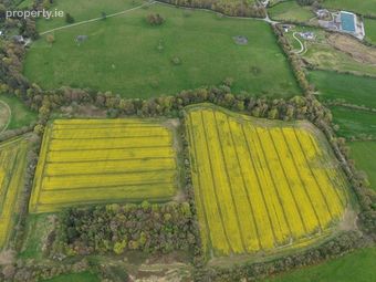 Silverfort, Fethard, Co. Tipperary - Image 3