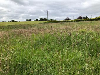 Cathaganstown, Killenaule, Co. Tipperary, Killenaule, Co. Tipperary - Image 4