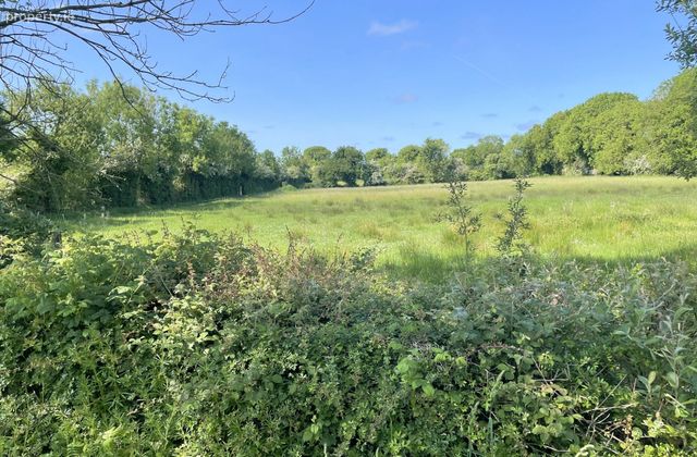 Derrygowna, Lanesborough, Co. Longford - Click to view photos