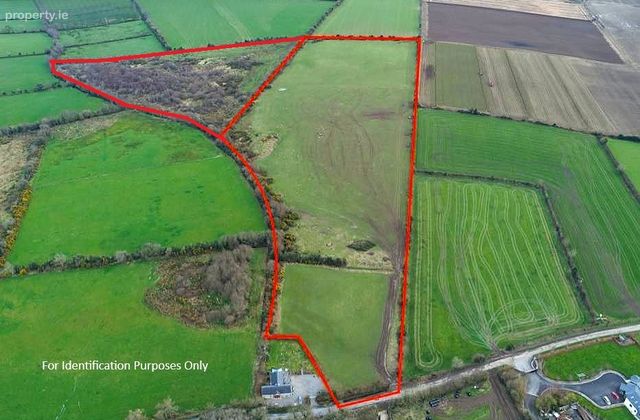 Lands Ballisland, Shillelagh, Co. Wicklow - Click to view photos