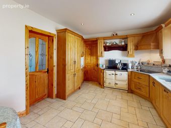 Roscrea Road, Crinkle, Birr, Co. Offaly - Image 3