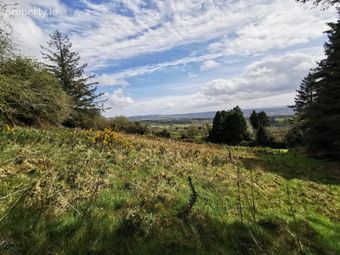 Tullagubbeen, Castleisland, Co. Kerry - Image 2
