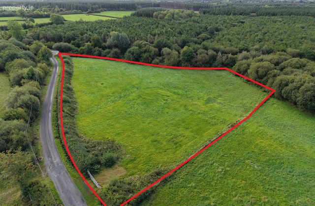 Ballylanigan, Mullinahone, Co. Tipperary, Mullinahone, Co. Tipperary - Click to view photos