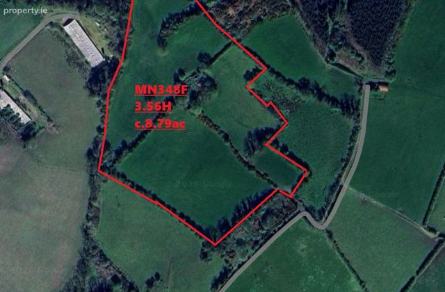 C.9acres And Derelict Cottage, Monaghan, Co. Monaghan - Click to view photos