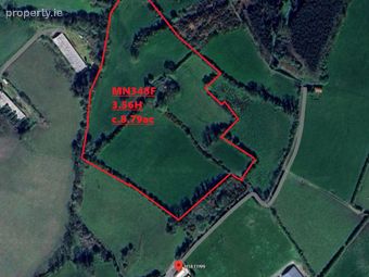 C.9acres And Derelict Cottage, Monaghan, Co. Monaghan