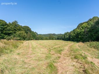Moore's Meadow, Mill Road, Ballinacarrig Lower (l2144), Rathdrum, Co. Wicklow, Ballinaclash, Co. Wicklow - Image 4