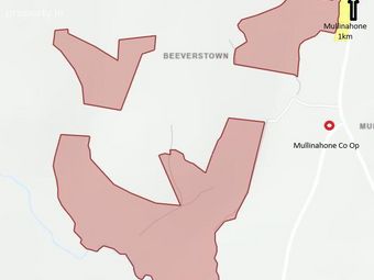 Beeverstown, Mullinahone, Co. Tipperary, Mullinahone, Co. Tipperary - Image 2