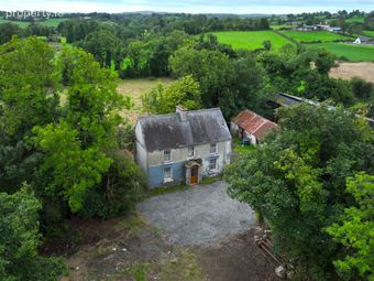 Dingins, Lough Gowna, Co. Cavan - Image 3
