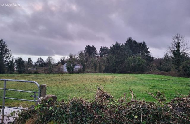 Glendree Lower, Feakle, Co. Clare, Glendree, Co. Clare - Click to view photos