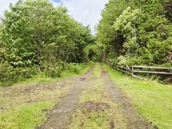 Sargura, Charlestown, Bellaghy, Co. Sligo - Image 5