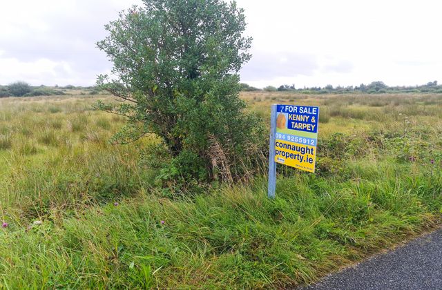 Srah Upper, Carracastle, Co. Mayo - Click to view photos
