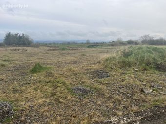 Glenall Rock Road, Borris-in-Ossory, Co. Laois