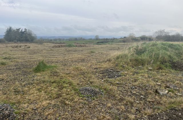 Glenall Rock Road, Borris-in-Ossory, Co. Laois - Click to view photos