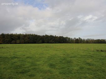 Monivea Demesne, Monivea, Co. Galway - Image 3