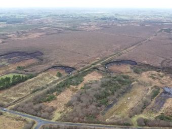 C. 2.93 Acres Of Boglands, Eskeromullacaun, Glenamaddy, Co. Galway, Glenamaddy, Co. Galway - Image 2