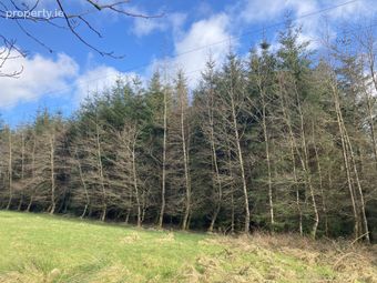 Knockalough Commons, Upperchurch, Thurles, Co. Tipperary