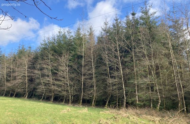 Knockalough Commons, Upperchurch, Thurles, Co. Tipperary - Click to view photos