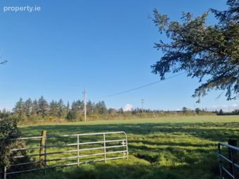 Trien, Castlerea, Co. Roscommon - Image 3
