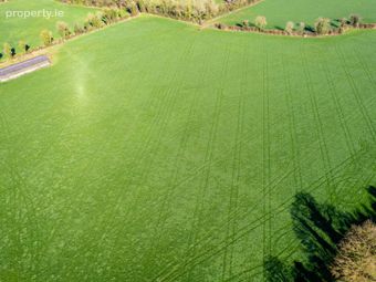 35 Acres Ennistown, Kilmessan, Co. Meath, Kilmessan, Co. Meath - Image 5