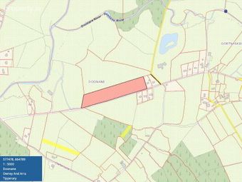 Doonane, Newport, Co. Tipperary, Newport, Co. Tipperary - Image 5
