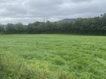 Currinree, Corries, Bagenalstown, Co. Carlow - Image 3