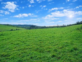 C.50ac Killylaragh, Emyvale, Co. Monaghan - Image 3